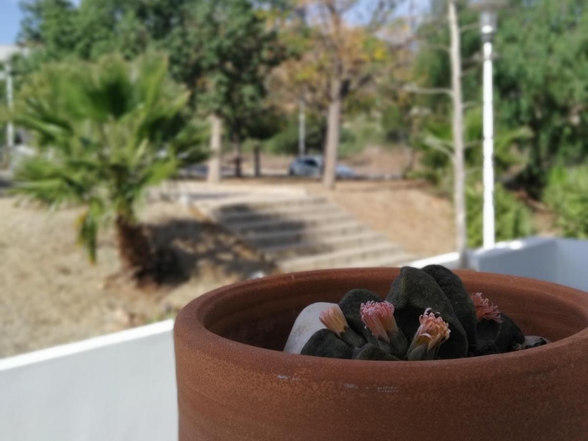 Piedranegra, Apartamento Completo Con Patio, Terraza Y Bbq Rodalquilar Luaran gambar